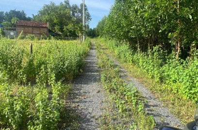 Đất nền xã Phước Hải - Đối diện hồ Bút Thiền 149m2 sẵn 80m2 thổ cư nở hậu