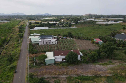 Bán đất mặt tiền đường Phạm Hùng. Cạnh cổng 2 kcn Đất Đỏ. Dt 1000m2