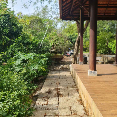 Bán nhà vườn ven biển Lộc An - Phước Hải. Diện tích 1.800m2, có tc, 38m mặt tiền cách biển 500m