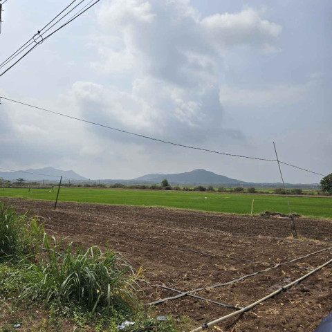 Bán đất thị trấn Đất Đỏ đường Lê Thánh Tông 123m2 giá chỉ 1,2 tỷ